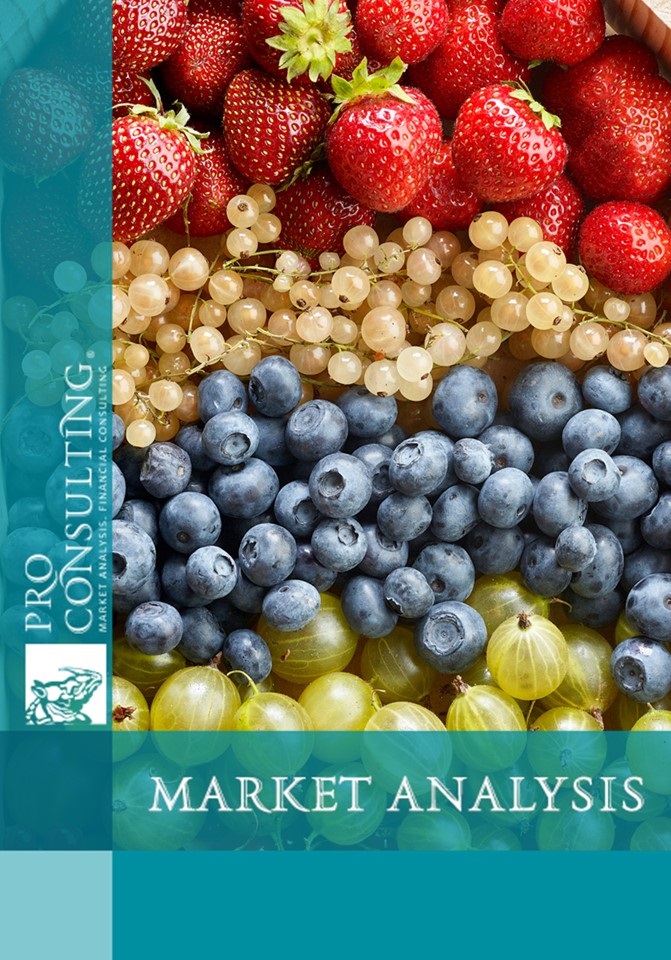 Analysis of the berries market in Ukraine. 2019